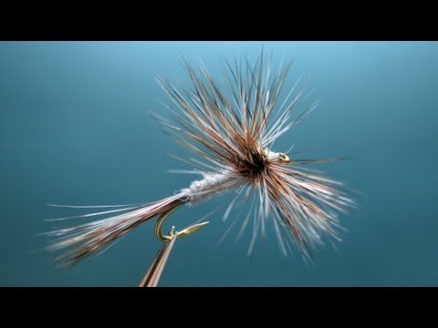 Fly tying video: Adams Hackle Stacker. "FlyTier's Eyes. No.36"