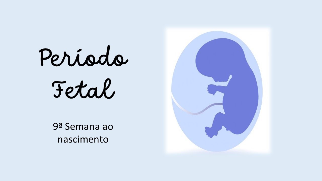 Período fetal - 9a Semana ao Nascimento