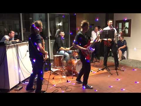 The Reptilians - The Reptilians Live