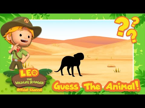 Witness21  2023 08 18