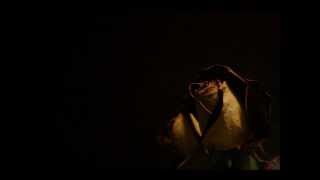 Heavenwood - Shadowflower (Gothic Edit)