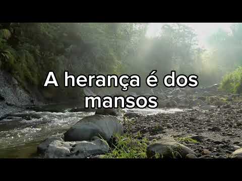 Bem-aventurados os mansos - Mateus 5.5