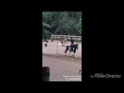 Salite al voloo✌🤘💪