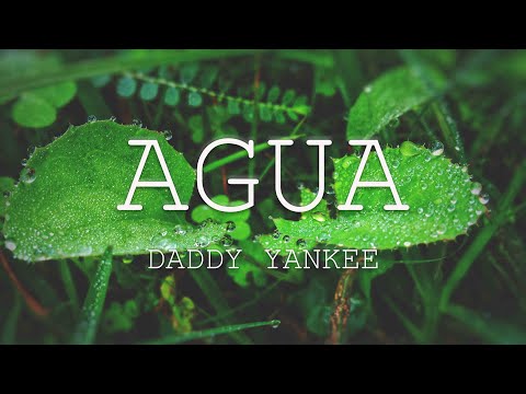 Agua ft. Rauw Alejandro, Nile Rodgers - Daddy Yankee 🪂
