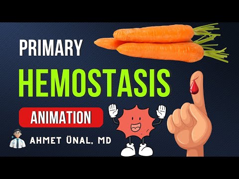 🥧 🥕 WHILE I COOK | Platelet Plug | Primary Hemostasis | Basic Hematologic Physiology Animation