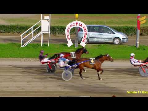 V Corsa del 17 Dicembre 2022 - 3 Anni - Metri 1600