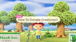 Animal Crossing New Horizons How To Donate Creatures And Unlock The Museum! How To Get The DIY AXE!