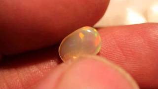 Download lagu MVI_1728.wmv mp3