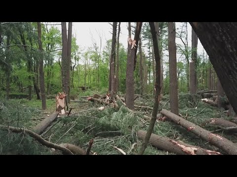 Reflecting on microburst that devastated Sleeping Giant State Park