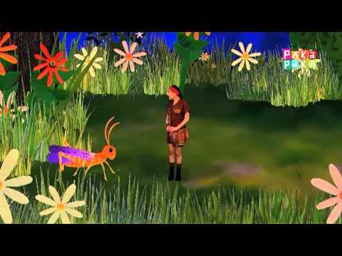 Animapaka II: Grillo (Cap. 1) - Canal Pakapaka