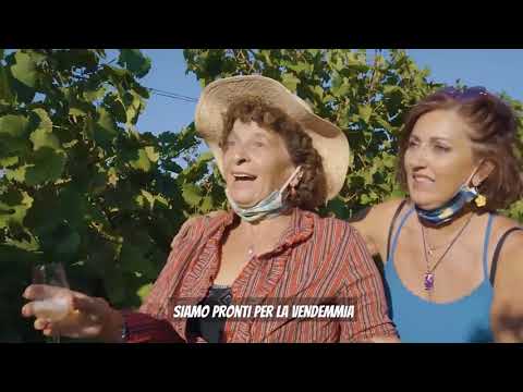 TUTTI A VENDEMMIARE