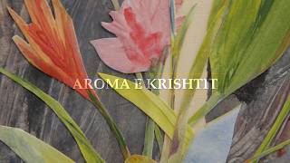 Arbërie Kodrolli - Aroma E Krishtit