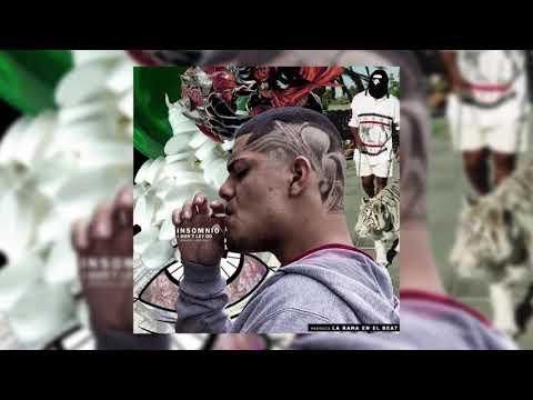 INSOMNIO (AUDIO OFICIAL) - VLADIMONTI (PROD. LA RANA EN EL BEAT)