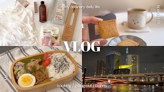 癒しアイテムとちょっとした楽しみを見つけて奮闘する日常｜浅草🏮お弁当作り｜無印良品週間購入品