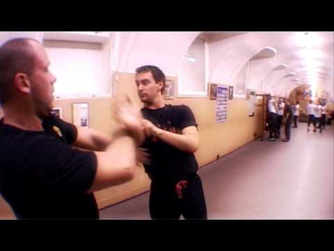 Leung Ting Wing Tsun Kung Fu