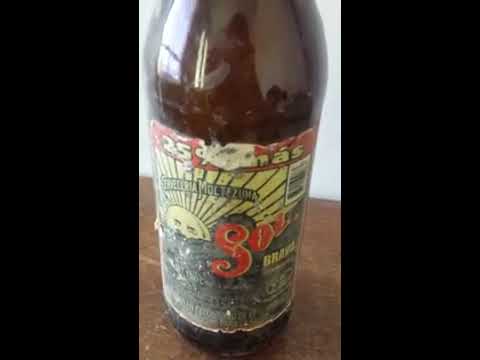 download lagu mp3 mp4 Sol Brava, download lagu Sol Brava gratis, unduh video klip Sol Brava