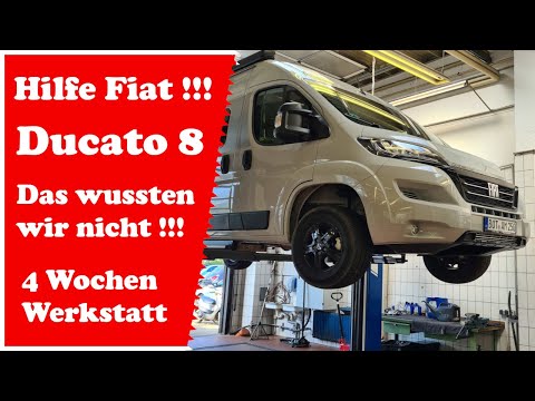 Fiat Ducato 8 - Das wussten wir nicht !!! - Vier Wochen Werkstatt - Wohnmobil Kastenwagen Probleme