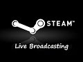 Steam Live Broadcasting: STREAM on Steam подключение ...