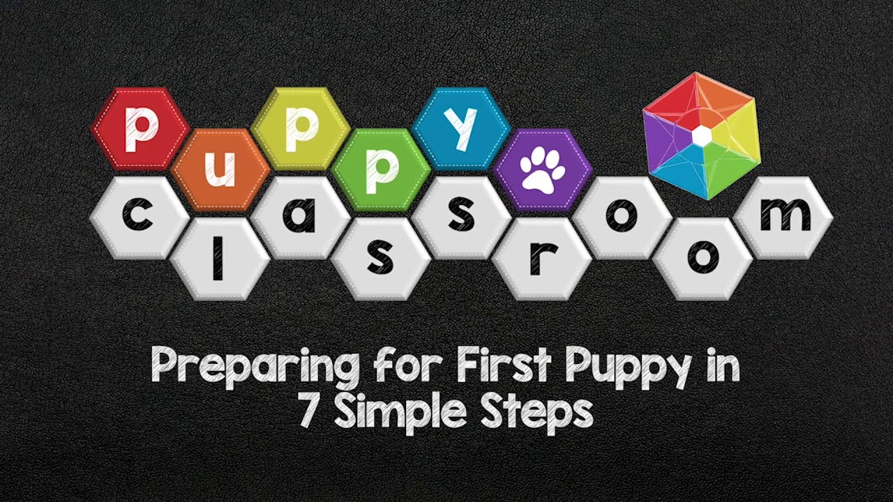 Collie Eye Anomaly/Choroidal Hypoplasia (CEA)