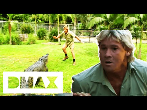 Steve Irwin Relocates Australia Zoo's Crocodiles | Crocodile Hunters: The Best Of Steve Irwin
