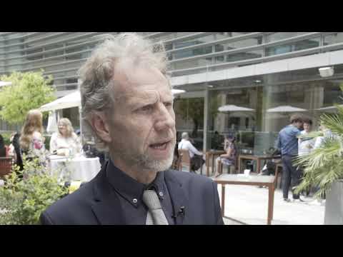 UIBS faculty interview with Professor Frank Hendrickx - June 2019