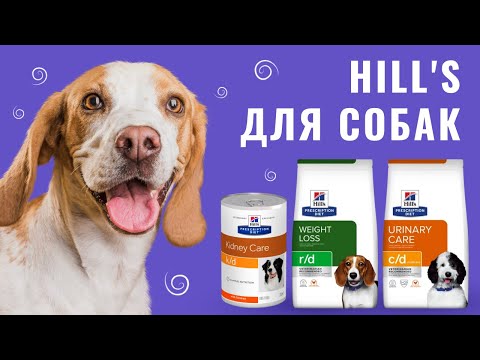 Консерва Hill's Prescription Diet Canine Metabolic для собак, при ожирінні, 370 г video