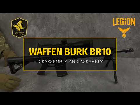 Legion’s Weapon Systems/Зброя Легіону.WAFFEN BURK BR10 ⠀