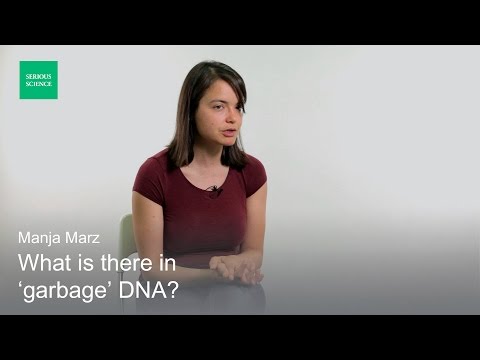 Bioinformatics After High Throughput Sequencing - Manja Marz