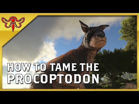 ARK: Survival Evolved - How to Tame the Procoptodon