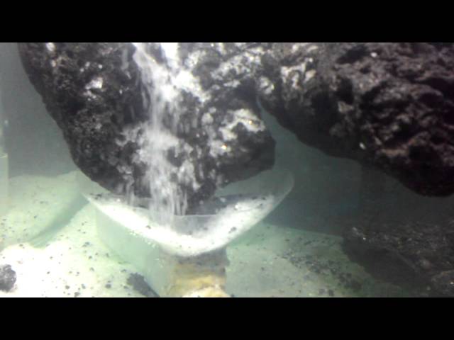Rahasia di balik air terjun akuarium/aquascape