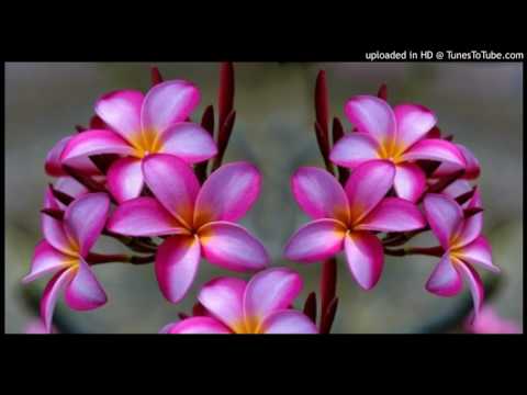 2017 _Nei Benateeta by TK Prod by Tonganibeia B