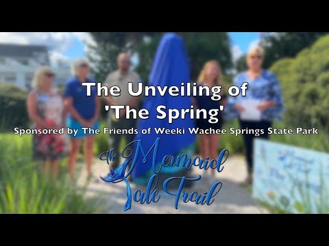 The Spring video thumbnail