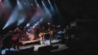 Rockin in the Free World - Govt. Mule