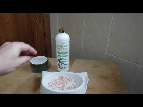 Upper Respiratory Infection URI In Dogs Or Cats Natural Home Remedy Treatment Your Choice