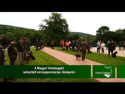 NIMRÓD Percek - A Magyar Véreb Egylet nehezített vércsapaversenye Alsóperén - 2015.06.21-i adás