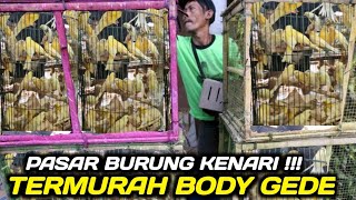 Download lagu UPDATE HARGA BURUNG KENARI BODY GEDE JADI REBUTAN DIKIOS PASAR BURUNG PRAMUKA HARI INI mp3
