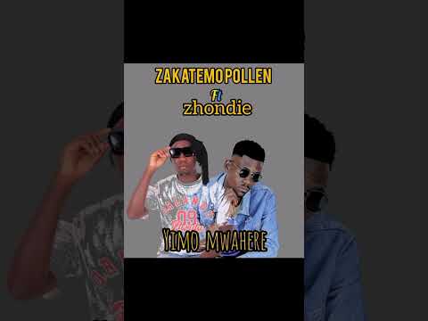 Zakatemo _pollen_ Yimo mwahere ft zhondie