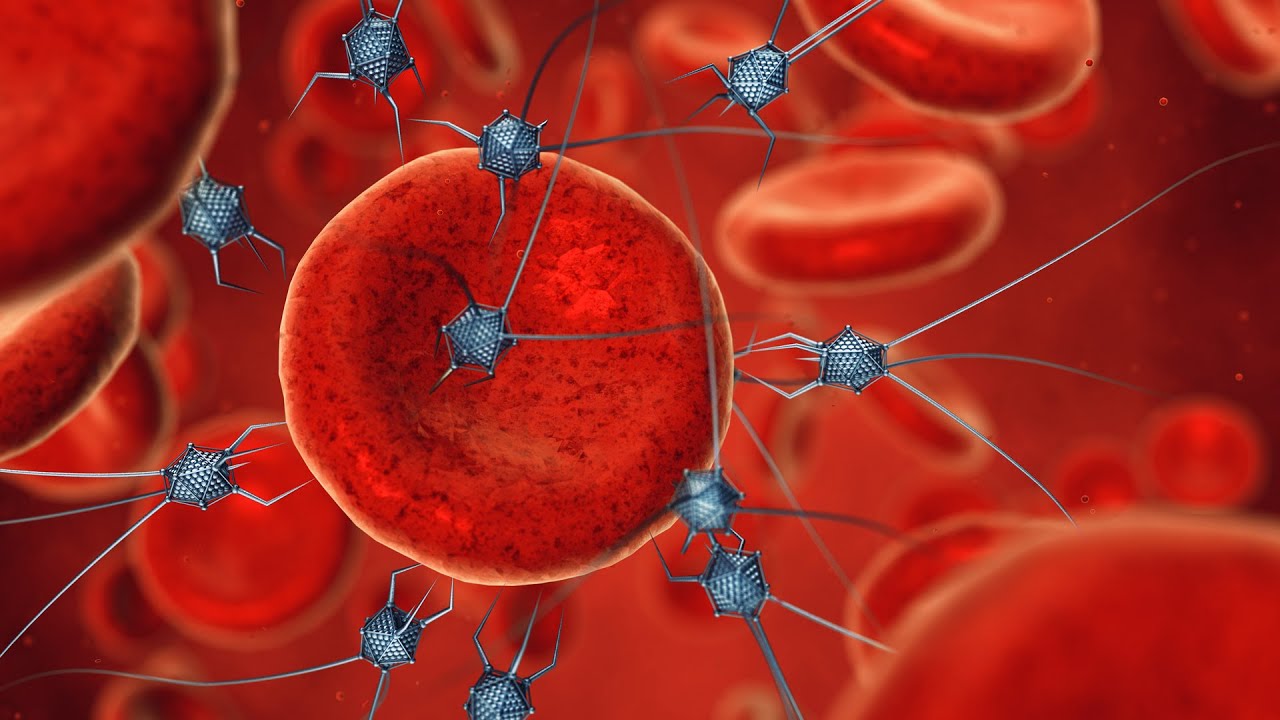 I Nanorobot che Ripareranno il Cervello