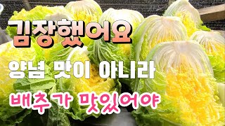 김장했어요 김장배추는 배추가 맛있어야 ᆢ 김장배추는 양념 맛이 아니다
