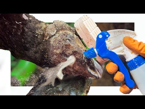 it SQUIRTS right THROUGH! 😳