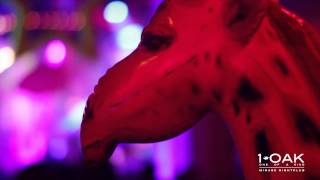 1 OAK Nightclubs Greatest Party on Earth with Clinton Sparks