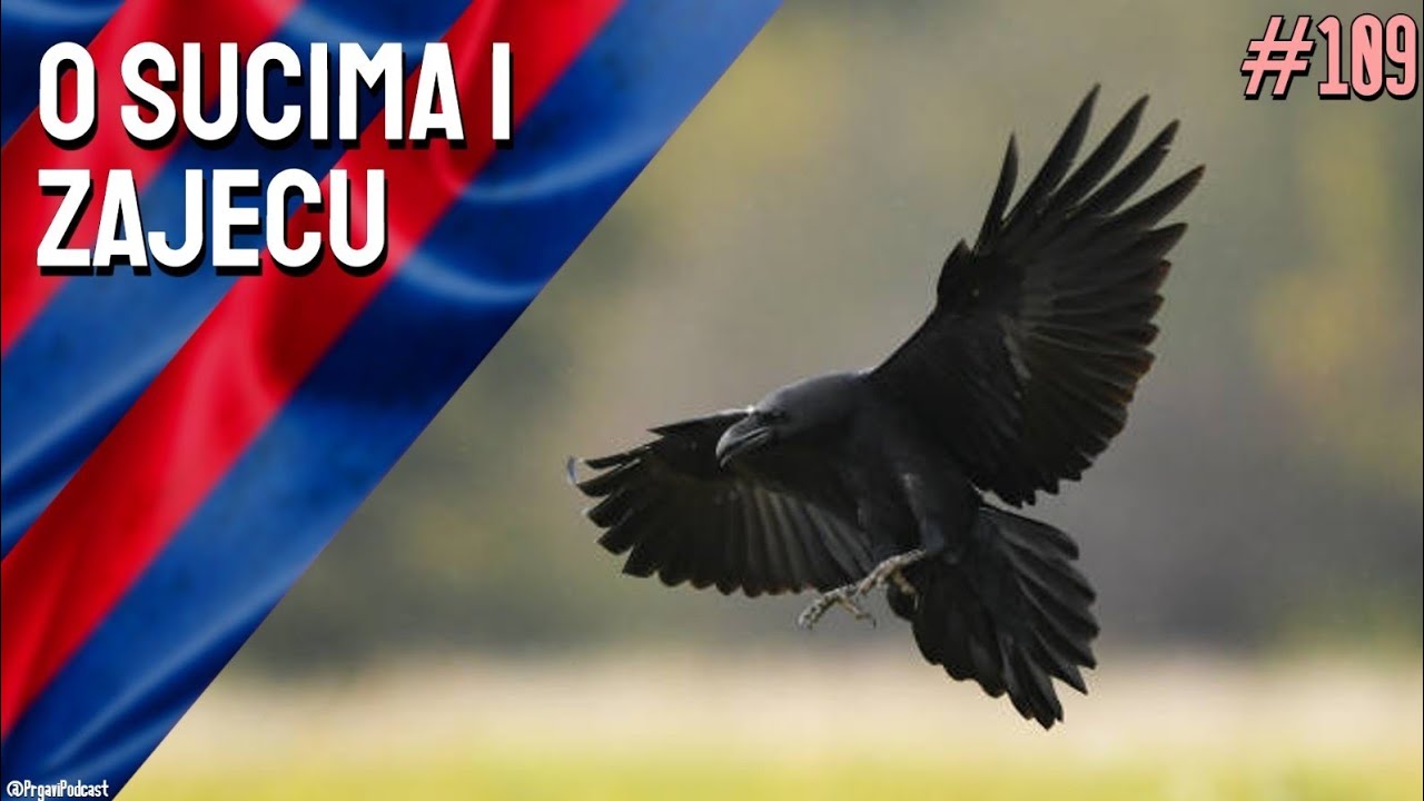 Prgavi podcast #109 - (ne)regularna liga? 🤔
