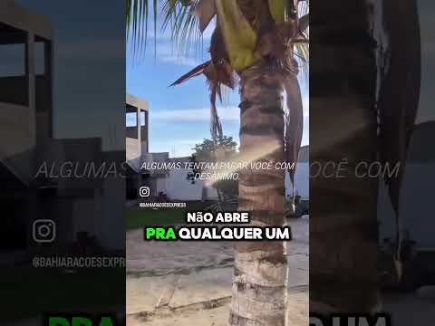 #BahiaRações #Jaguaquara #RaçãoPet #PetShop #Empreendedorismo #Foco #Determinação #Motivação #Cães #