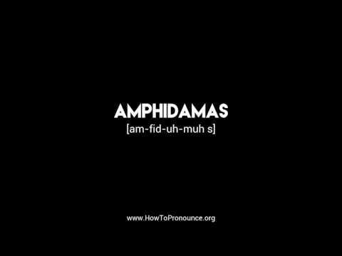 How to Pronounce "amphidamas"