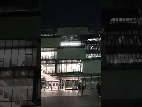 イルミネーションが始まりました！#イルミネーション #夜のキャンパス #キャンパスライフ #大正大学 #shorts