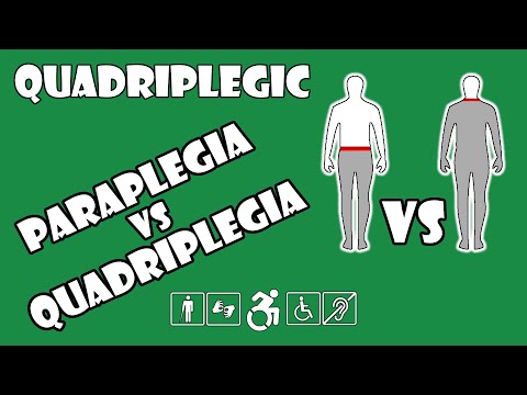 image-What is the difference between paraplegia and hemiplegia?
