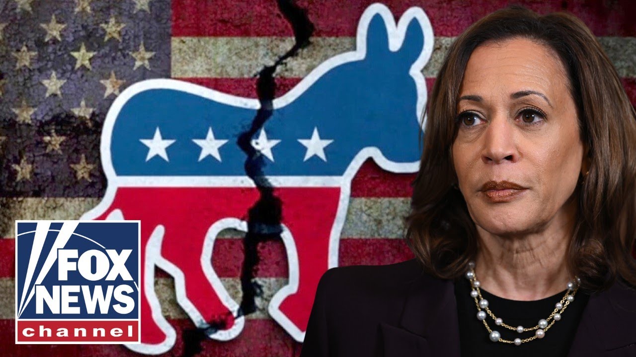 'DISASTER!': Former Dem megadonor delivers SCATHING party assessment