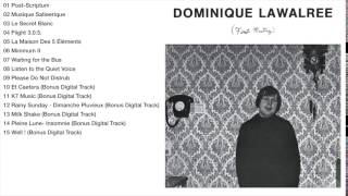 Dominique Lawalree - First Meeting (album)
