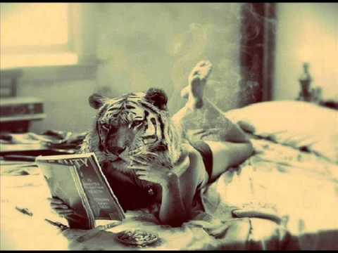 Nôze - When Tiger Smoked (Original Mix)