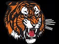 Medicine Hat tigers goal horn. horn and siren only.